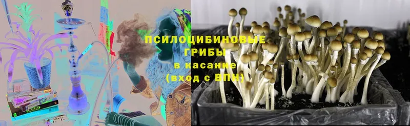 OMG ССЫЛКА  Кувандык  Галлюциногенные грибы GOLDEN TEACHER 